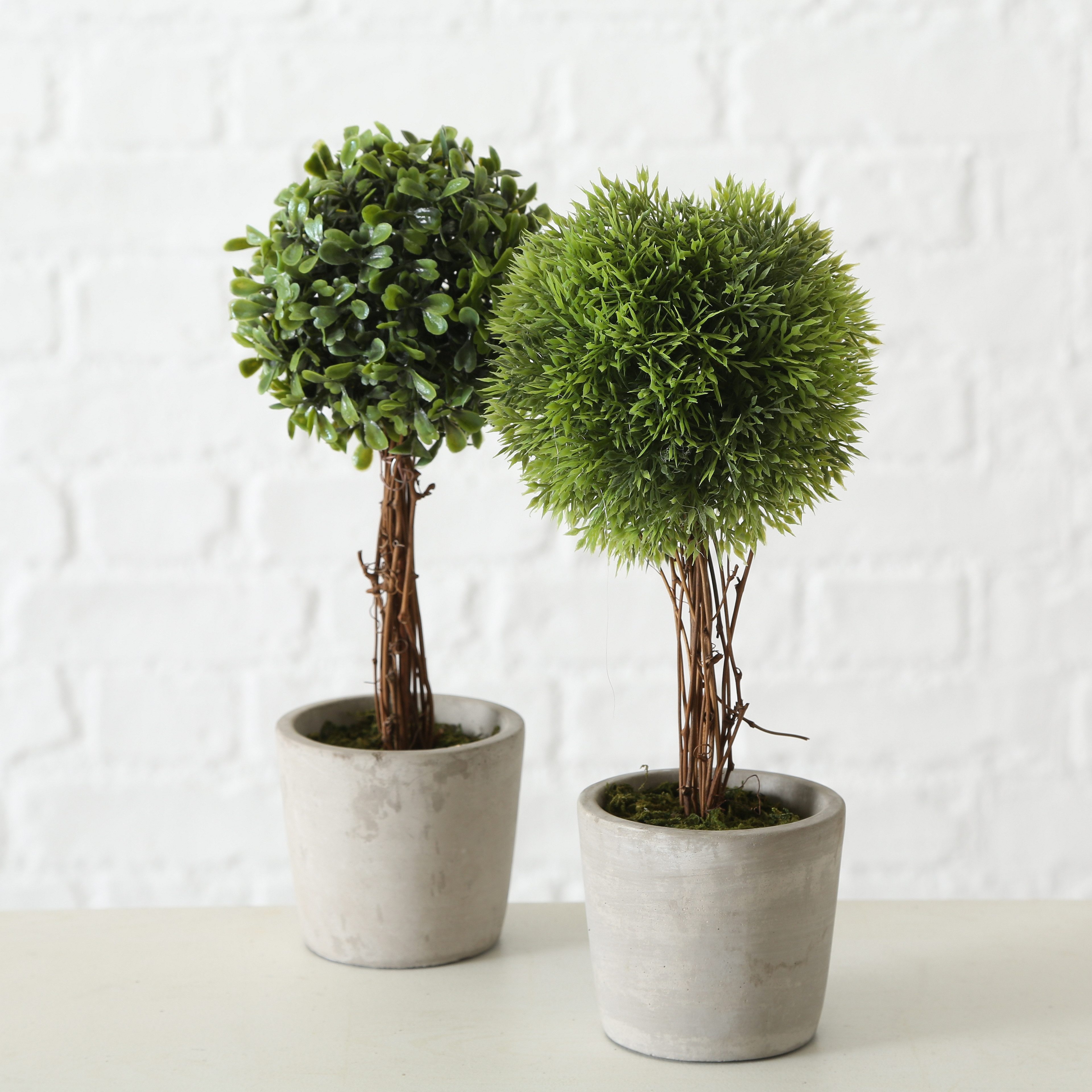 Kunstpflanze 2er Set künstliche Pflanzen im Zementtopf Höhe ca. 30cm mit Ec günstig online kaufen