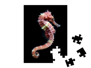 puzzleYOU Puzzle Schwimmendes Seepferdchen, 48 Puzzleteile, puzzleYOU-Kollektionen Seepferdchen