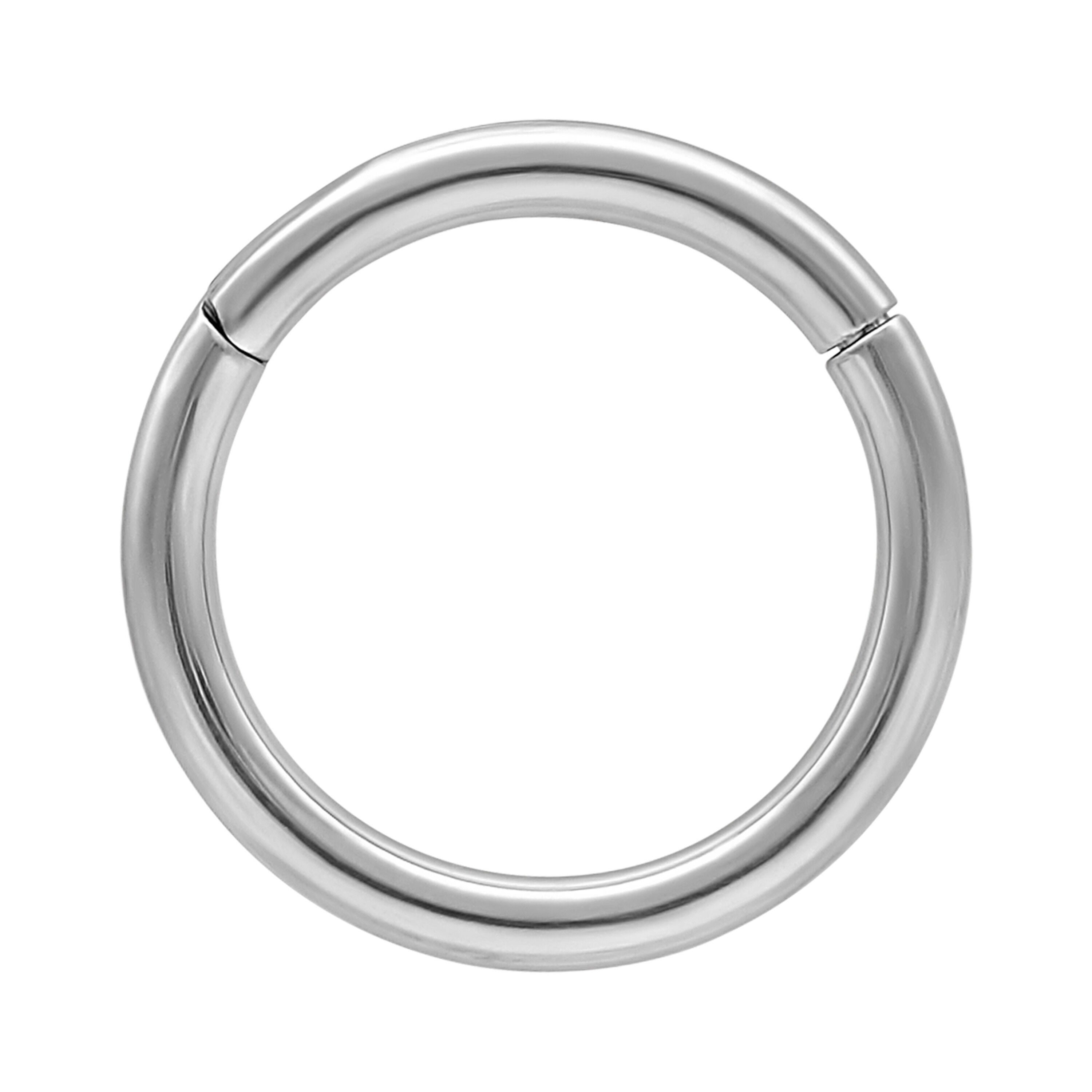 Wildcat Nasenpiercing Hinged Ring für Ohr, Lippe, Nase, Bauchnabel, 1 Stück, Titan Grad 23 - wasserfest, langlebig, hautverträglich