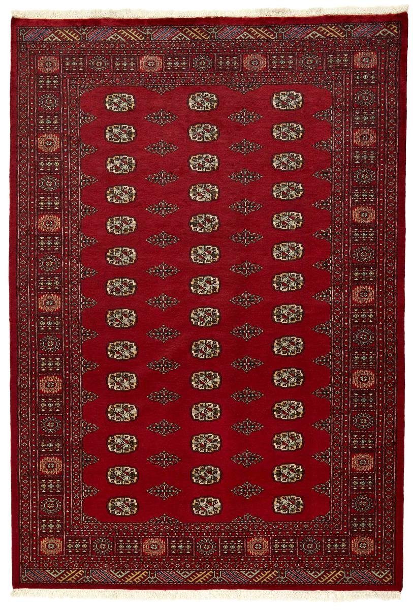 Orientteppich Pakistan Buchara 2ply Orientteppich, Handgeknüpfter 170x248 Höhe: Trading, mm rechteckig, Nain 8