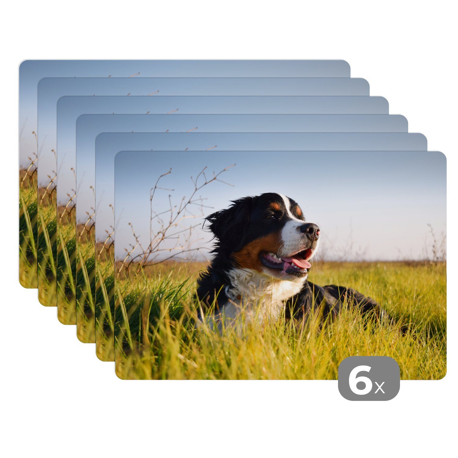 Platzset, Berner Sennenhund im Gras liegend, MuchoWow, (6-St), Platzset, Platzdecken, Platzmatte, Tischmatten, Schmutzabweisend | Tischsets