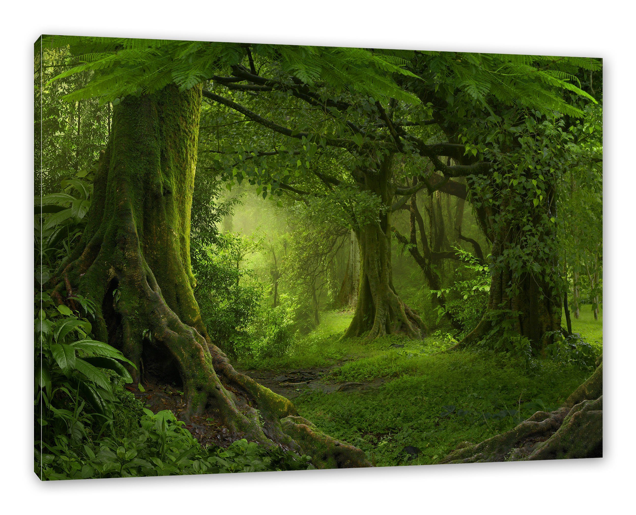 Regenwald St), Regenwald, Zackenaufhänger Dschungel bespannt, fertig im Dschungel Leinwandbild Pixxprint im inkl. Leinwandbild (1
