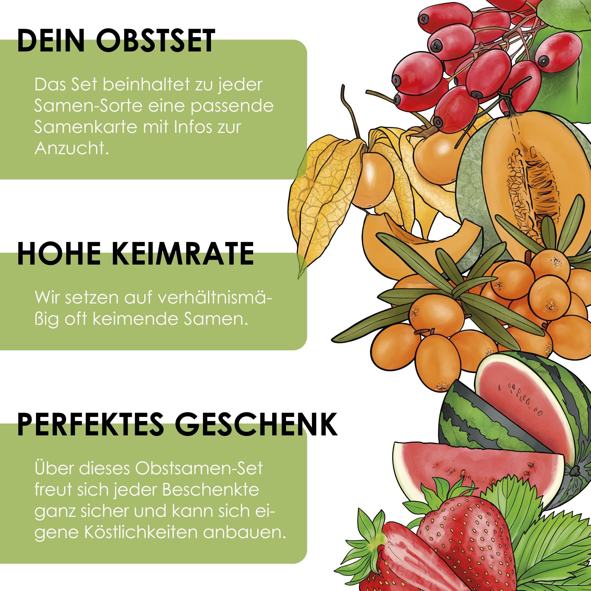 HappySeed Blumensamen Obst Samen Set mit 6 exotischen Sorten für deinen eigenen Obstgarten, Saatgut