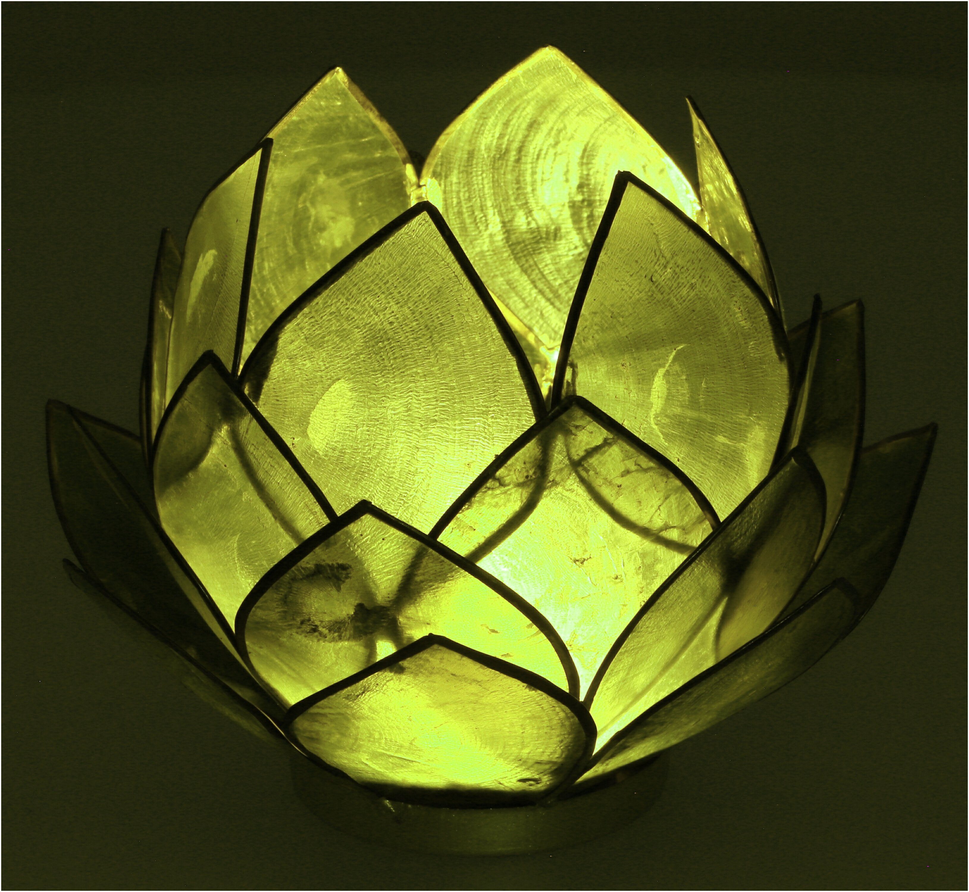 olivgrün Windlicht - Lotus Muschel Guru-Shop 14*10 Teelicht cm
