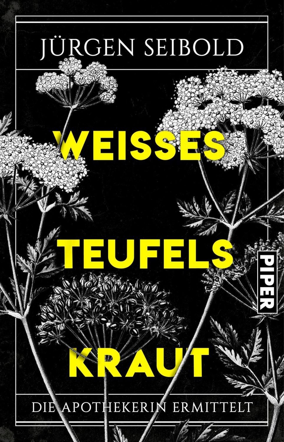 Weißes Teufelskraut / Jürgen Seibold