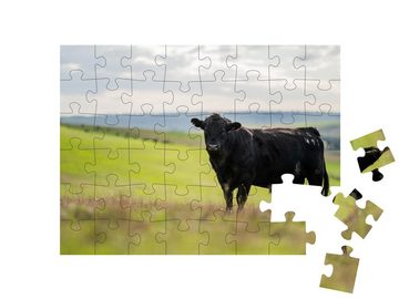 puzzleYOU Puzzle Schwarzes Rind auf einer Weide in Australien, 48 Puzzleteile, puzzleYOU-Kollektionen Rinder