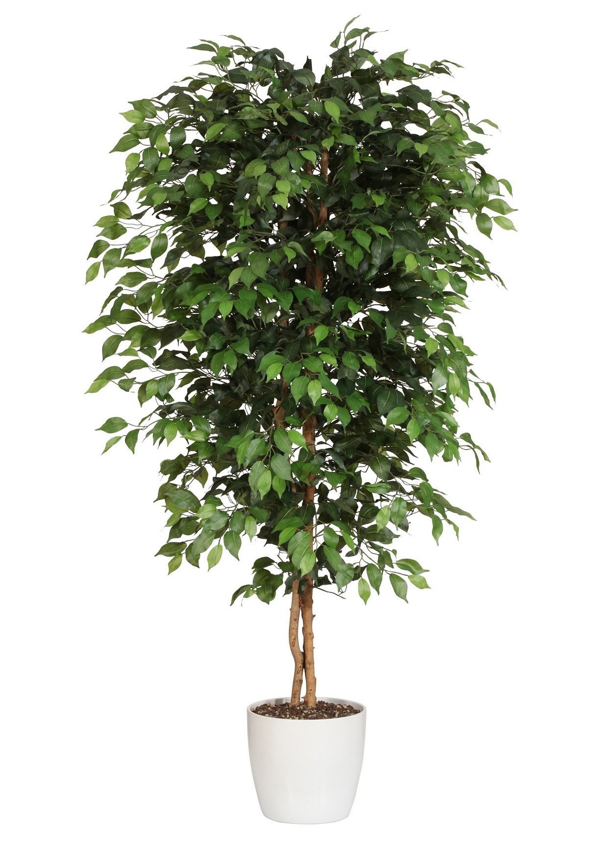 Kunstpflanze Ficus Benjamini, Creativ cm green, Höhe 180