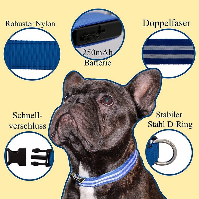 Belly´s Shop Hunde-Halsband LED Hundehalsband Wiederaufladbare USB 100% Wasserdichtes Leuchtendes Hunde Halsband Einstellbare für Kleine Mittlere Große Hunde UB11009