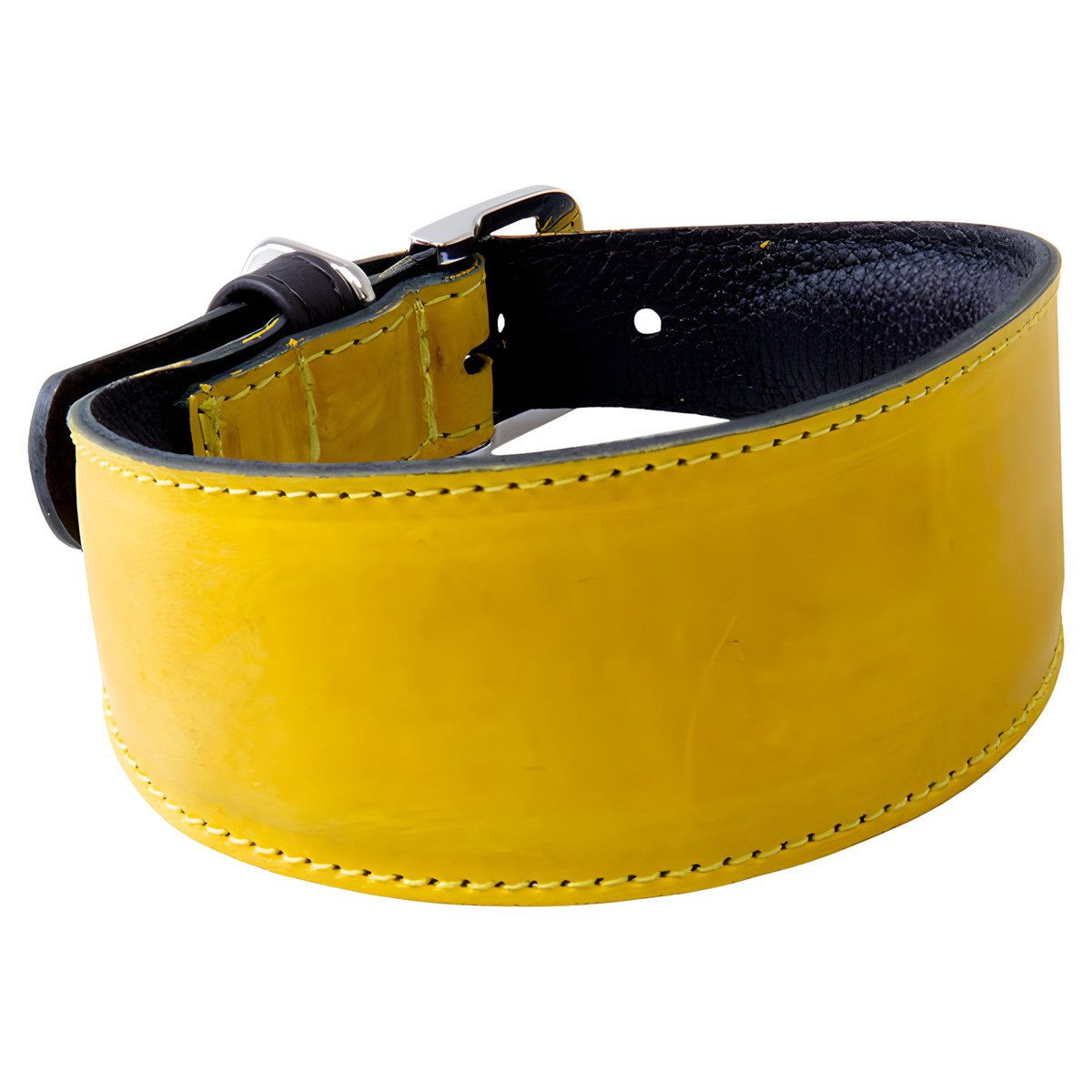 Das Lederband Hunde-Halsband Windhundhalsband Vancouver Yellow/Black