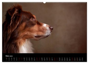 CALVENDO Wandkalender Charmante Australian Shepherds (Premium, hochwertiger DIN A2 Wandkalender 2023, Kunstdruck in Hochglanz)