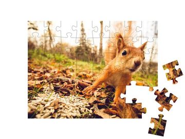 puzzleYOU Puzzle Eichhörnchen: ein Nagetier aus dem Wald, 48 Puzzleteile, puzzleYOU-Kollektionen Eichhörnchen, Tiere in Wald & Gebirge