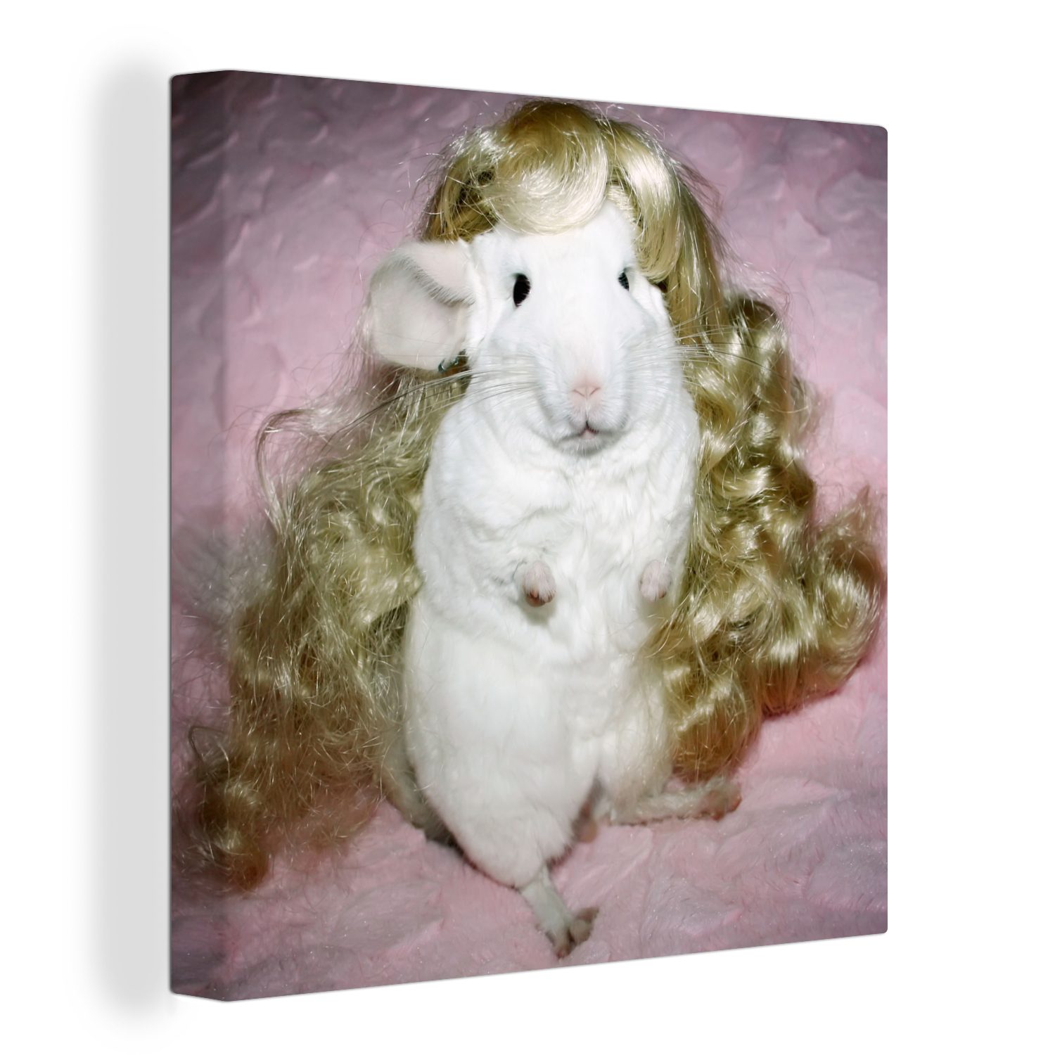 OneMillionCanvasses® Leinwandbild Ein Chinchilla mit blonder Puppenperücke, (1 St), Leinwand Bilder für Wohnzimmer Schlafzimmer