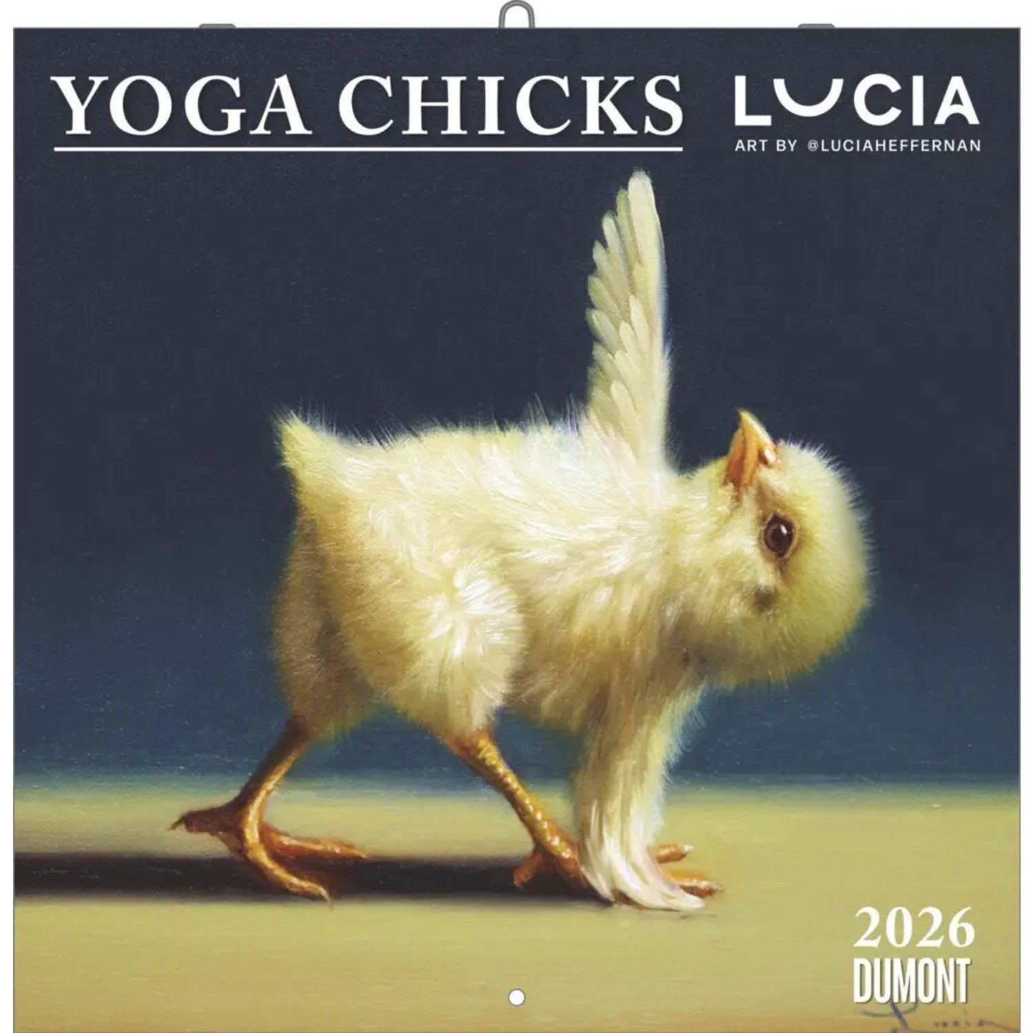 DUMONT Wandkalender DUMONT - Yoga Chicks 2026 - Broschürenkalender 30x30 cm - Lustige...