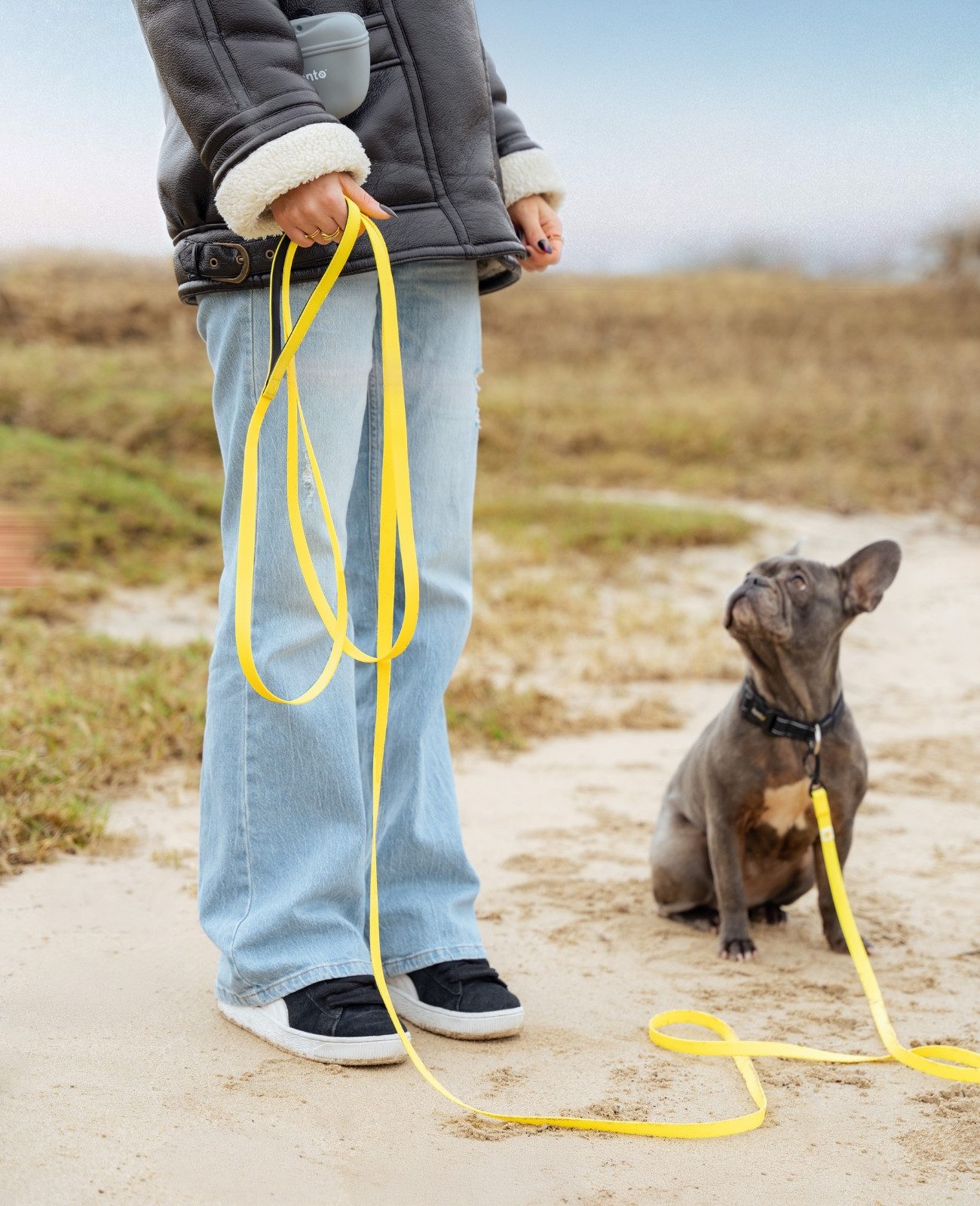 lionto Schleppleine strapazierfähig & wasserdicht, Nylon/PVC (mit Neopren-Handschlaufe, 1-tlg., Trainingsleine), mit Sicherheitskarabiner
