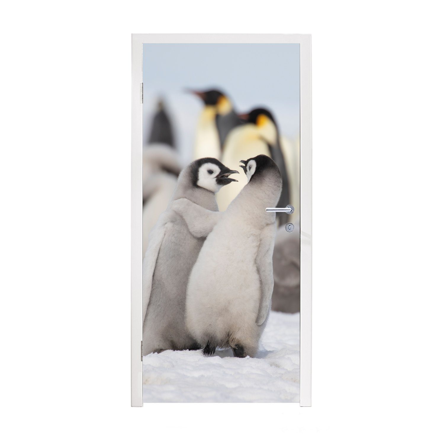 MuchoWow Türtapete Pinguine - Schnee - Tiere, Matt, bedruckt, (1 St), Fototapete für Tür, Türaufkleber, 75x205 cm