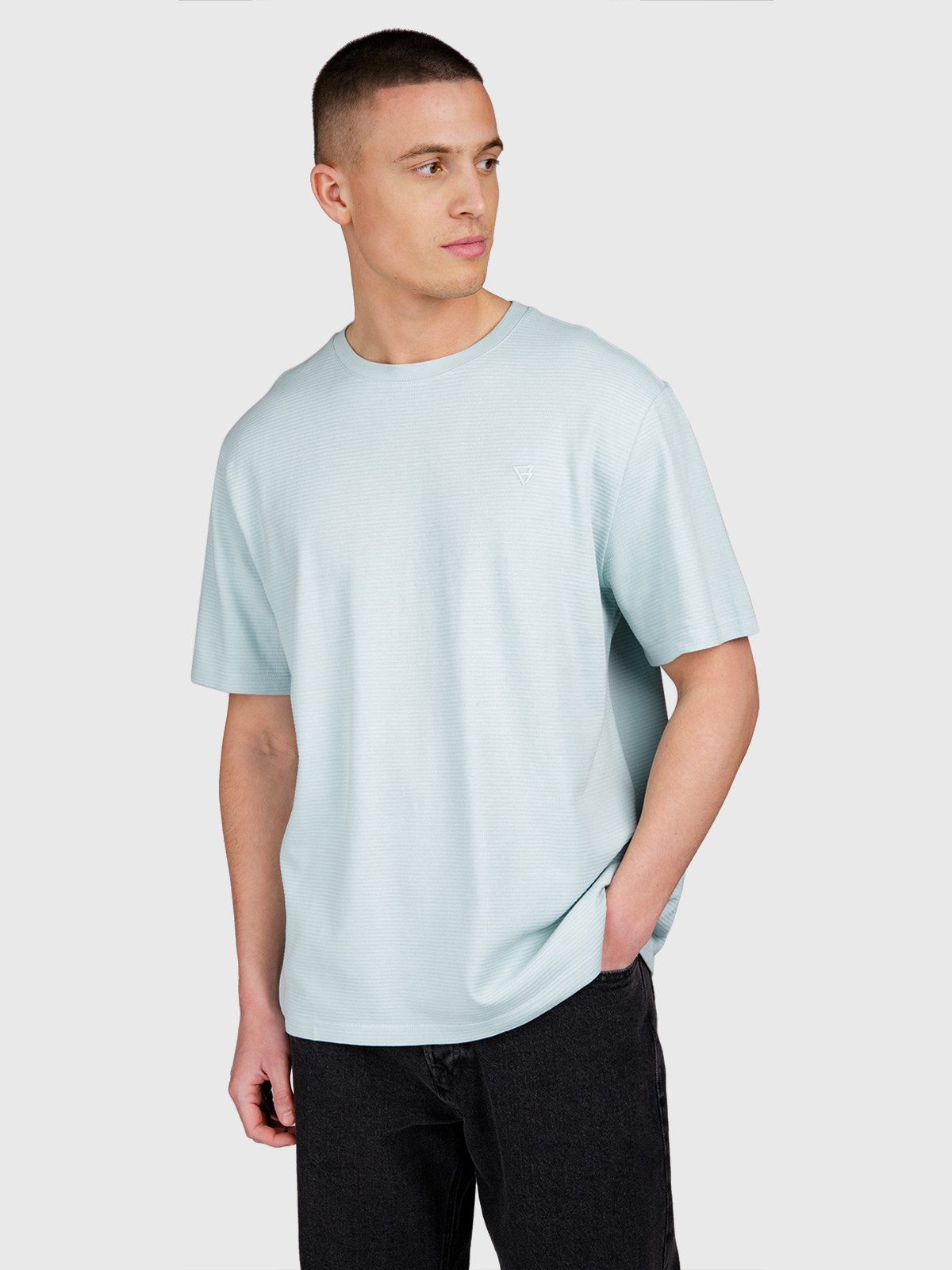 Brunotti T-Shirt Dozan Men T-shirt MIST