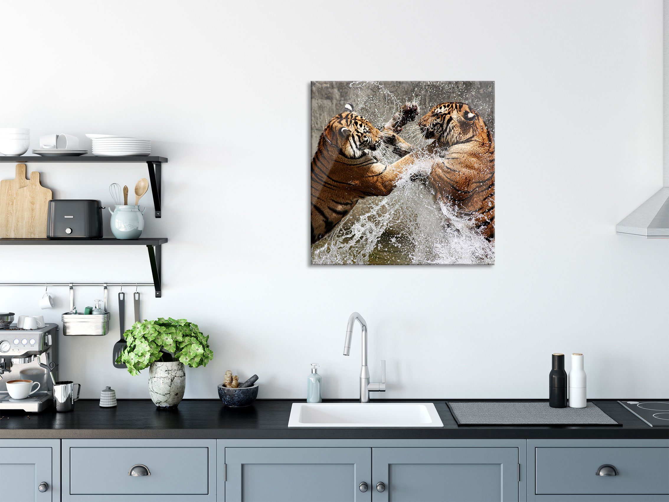 Glasbild Echtglas, und im inkl. Tiger Abstandshalter Glasbild Kämpfende im Pixxprint aus Wasser Aufhängungen Kämpfende (1 Wasser, Tiger St),