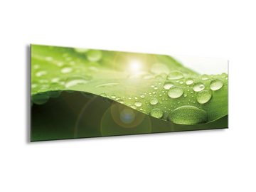 artissimo Glasbild Glasbild 80x30cm Bild aus Glas Spa Wellness Blatt grün, Natur: Wassertropfen auf Blatt