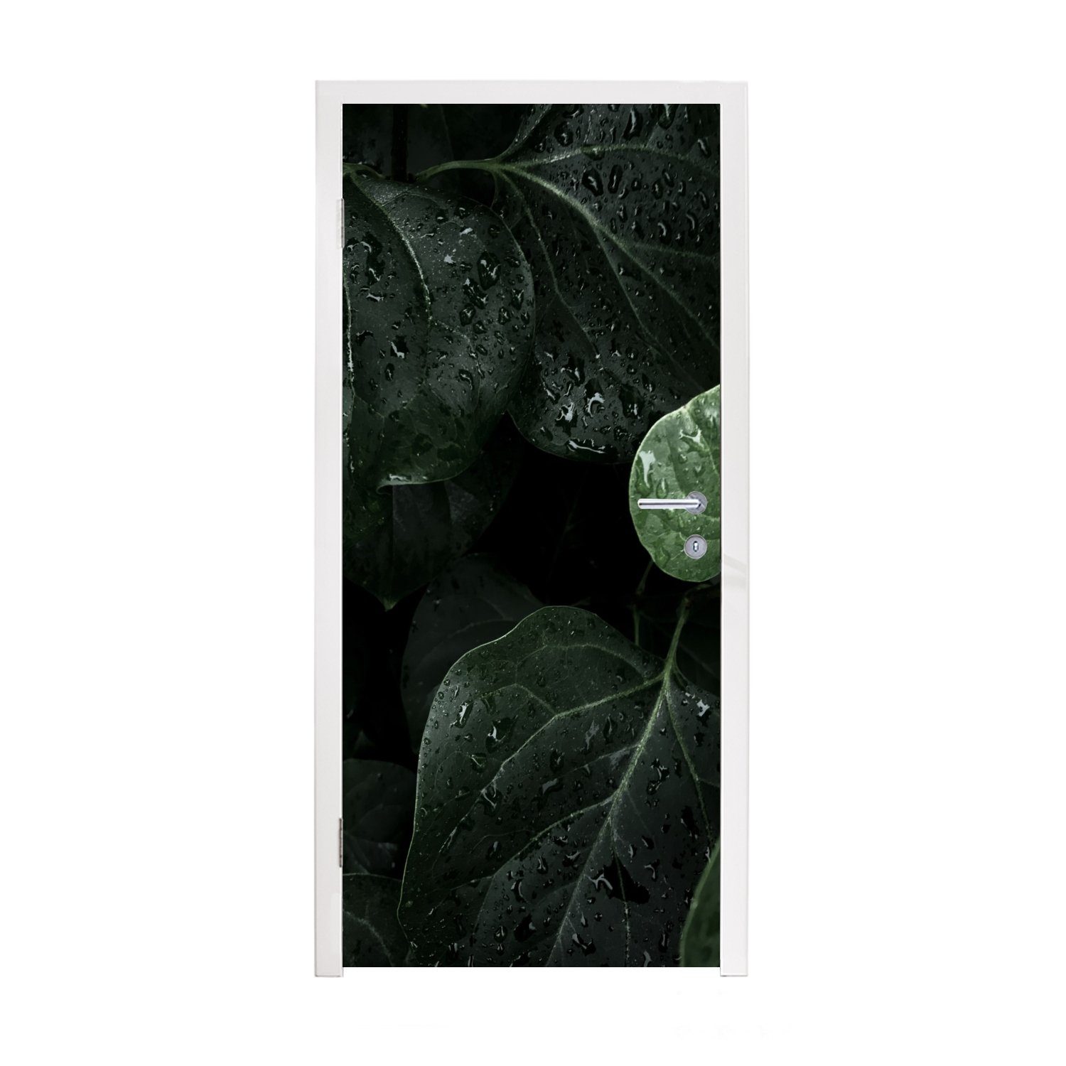 MuchoWow Türtapete Nahaufnahme von Regentropfen auf großen Blättern, Matt, bedruckt, (1 St), Fototapete für Tür, Türaufkleber, 75x205 cm