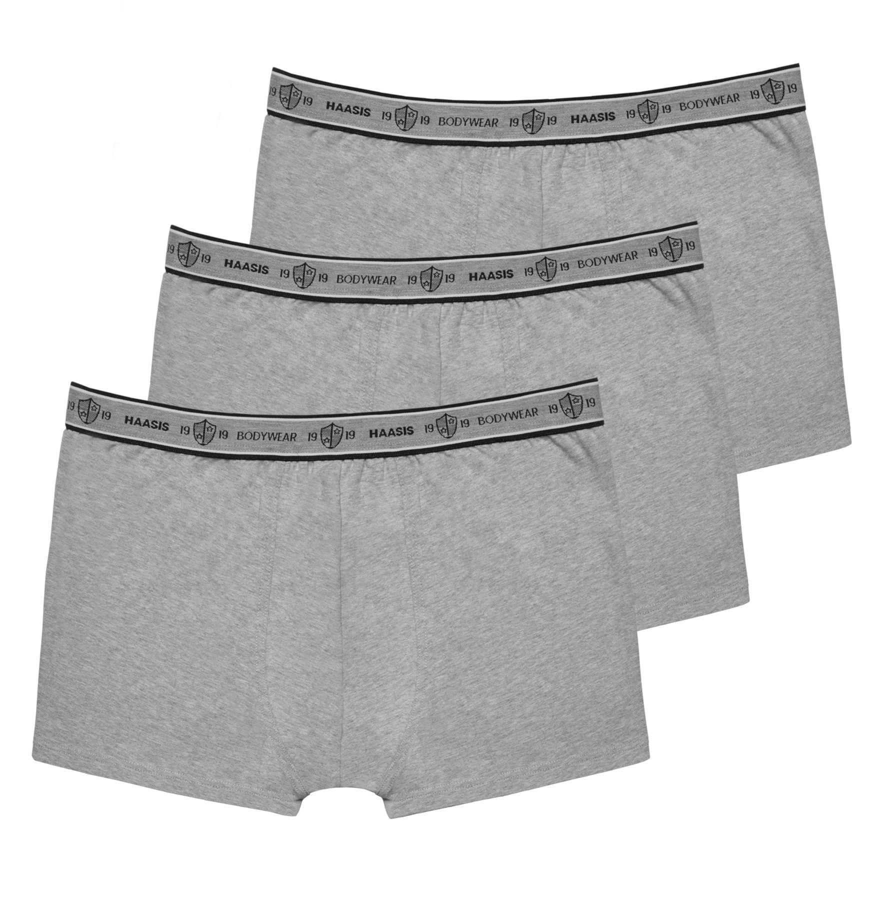 HAASIS Bodywear 1919 Retro Pants Herren Pants 77352413-graumeliert (Packung, 3-St., 3er Pack) Optimale Passform, pflegeleicht, formbeständig, strapazierfähig
