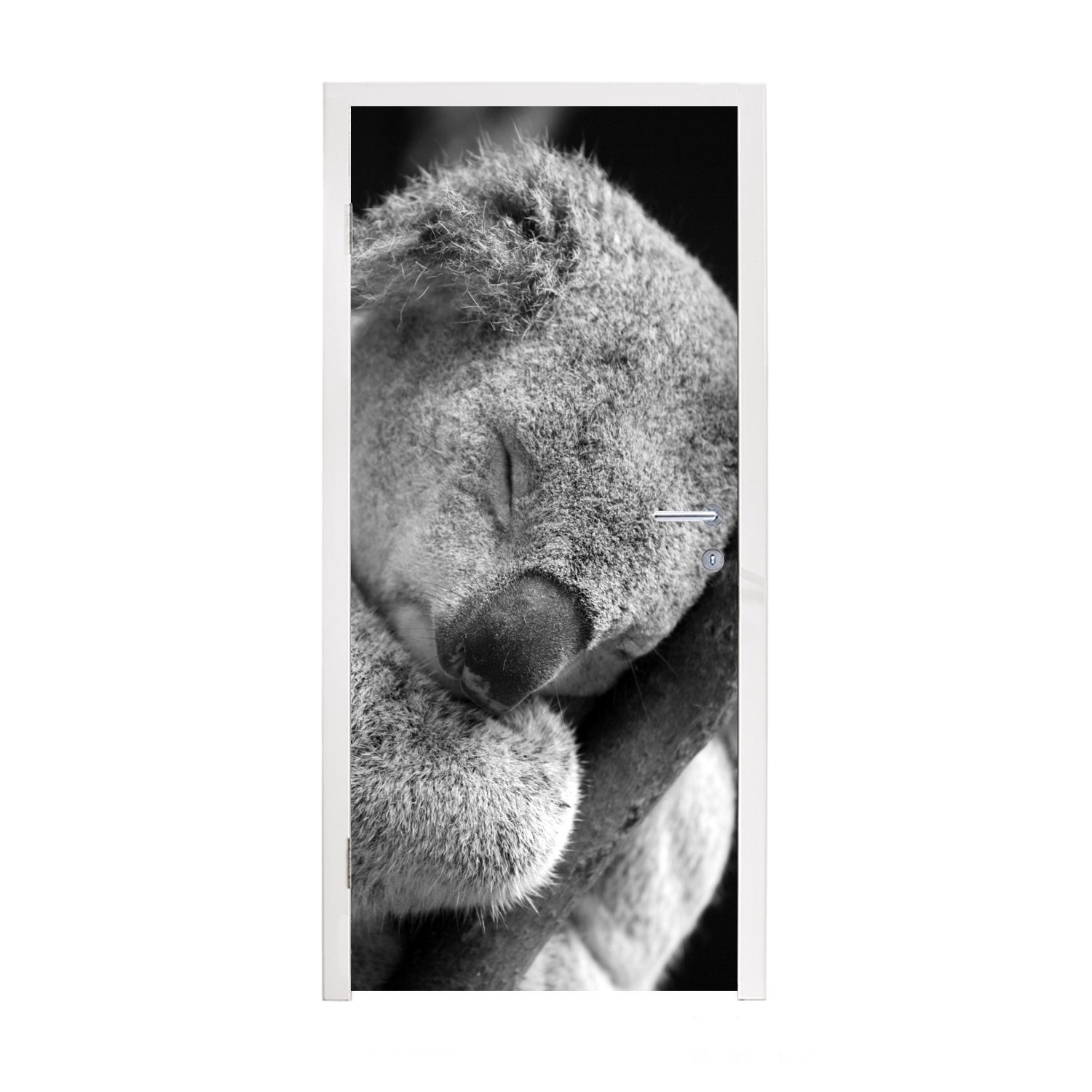 MuchoWow Türtapete Schlafender Koala auf schwarzem Hintergrund, Matt, bedruckt, (1 St), Fototapete für Tür, Türaufkleber, 75x205 cm