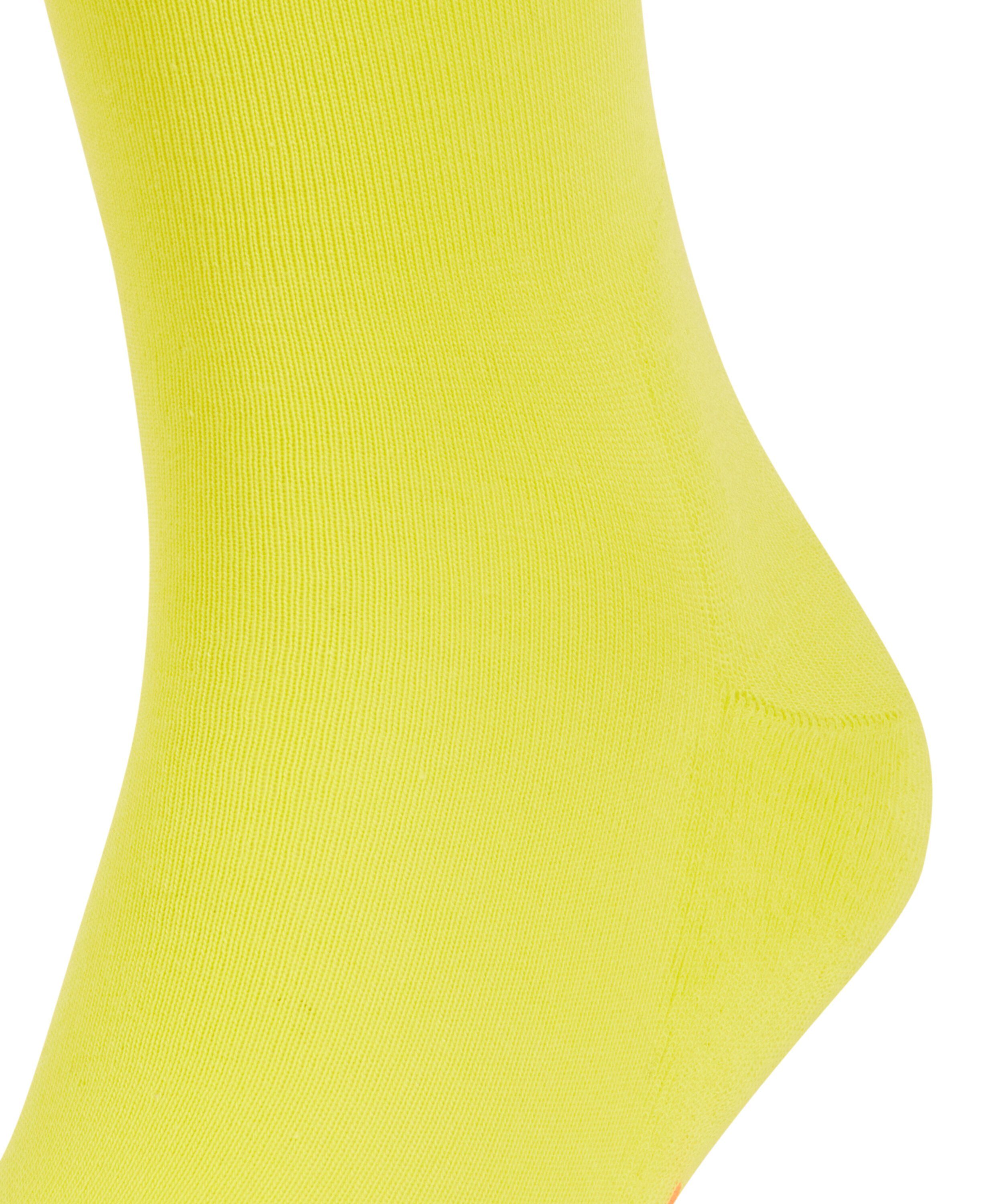 (1-Paar) FALKE (1084) Run sulfur Socken