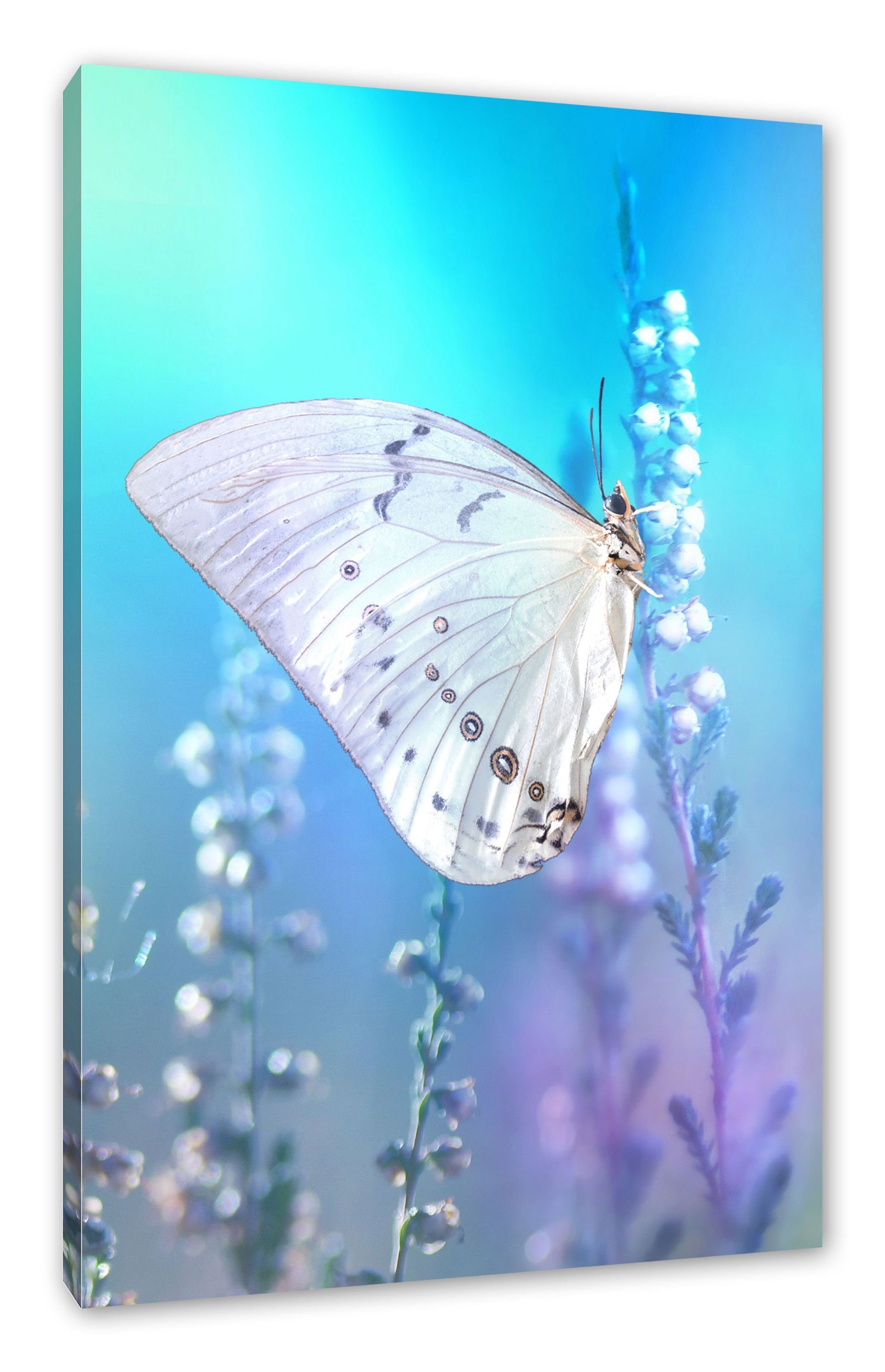 Pixxprint Leinwandbild Schmetterling auf Blütenknospen, Schmetterling auf Blütenknospen (1 St), Leinwandbild fertig bespannt, inkl. Zackenaufhänger