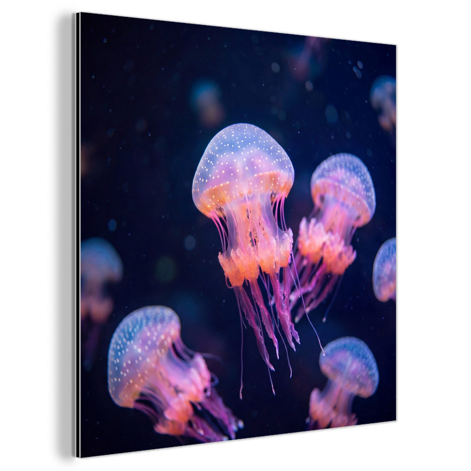 MuchoWow Metallbild Tier – Unterwasser – Natur – Rosa – Geheimnisvoll, Inkl. Aufhängung, Alu-Dibond-Druck, Wandbild aus Metall, Aluminium deko, 20x20 cm