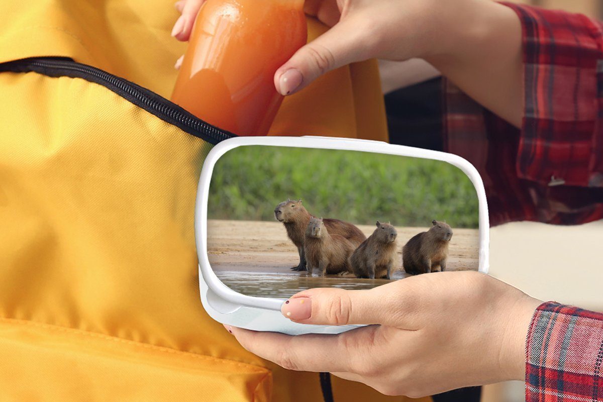 MuchoWow Lunchbox Familie Capibara am (2-tlg), Mädchen Jungs Kunststoff, Brotdose, und für Kinder Wasser, und für Erwachsene, Brotbox weiß