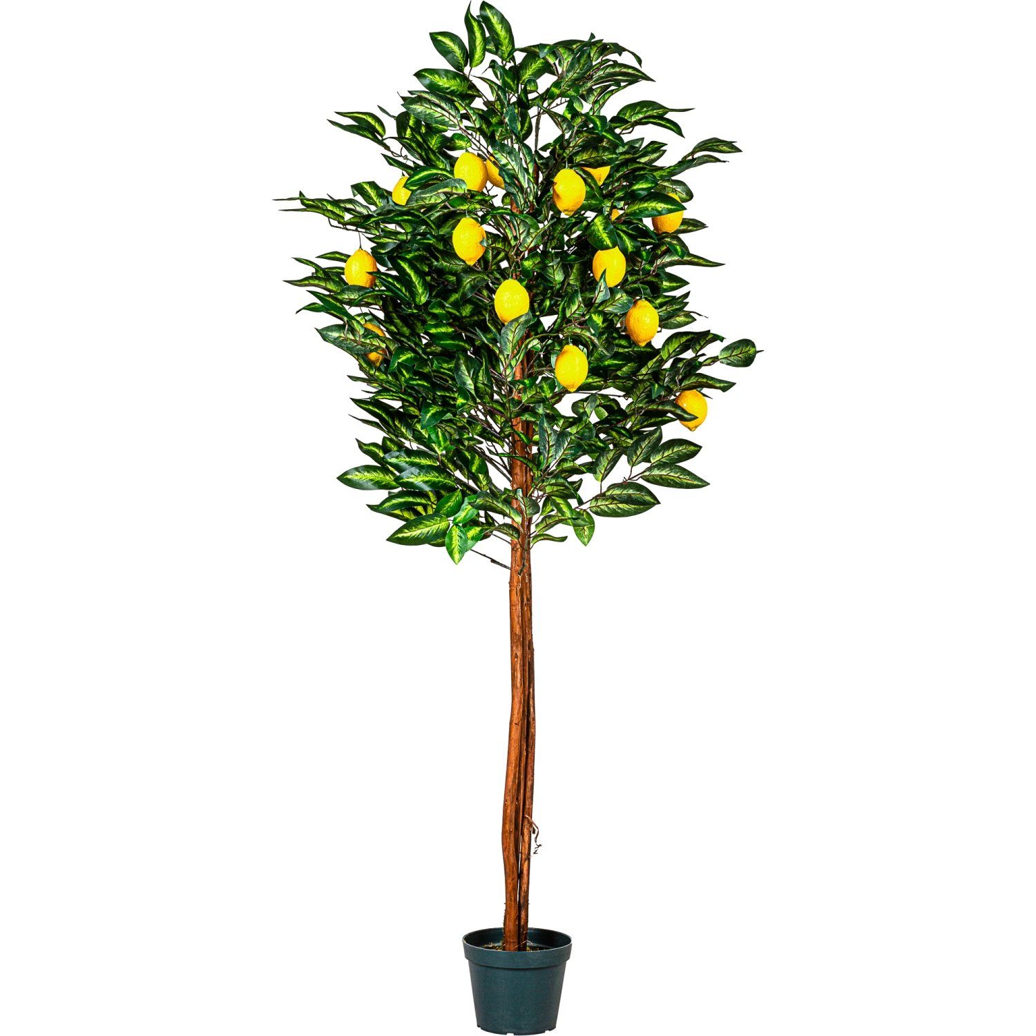 Kunstbaum Künstlicher Zitronenbaum Kunstpflanze Dekobaum Zitronenbaum, PLANTASIA, Höhe 180,00 cm, 180 cm, 30 Zweige & 20 Früchte, Echtholzstamm