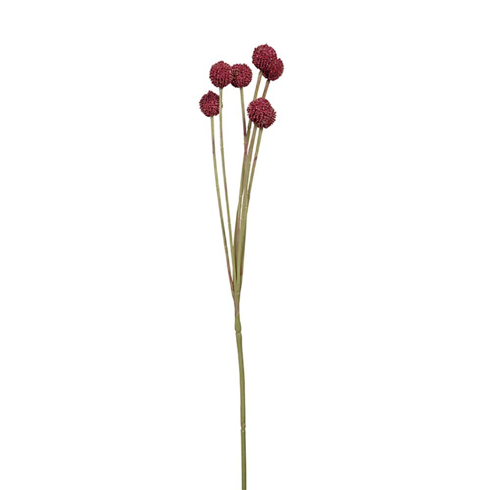 Kunstpflanze FINK Kunstblume Craspedia - dunkelrot - H. 60cm x B. 10cm, Fink