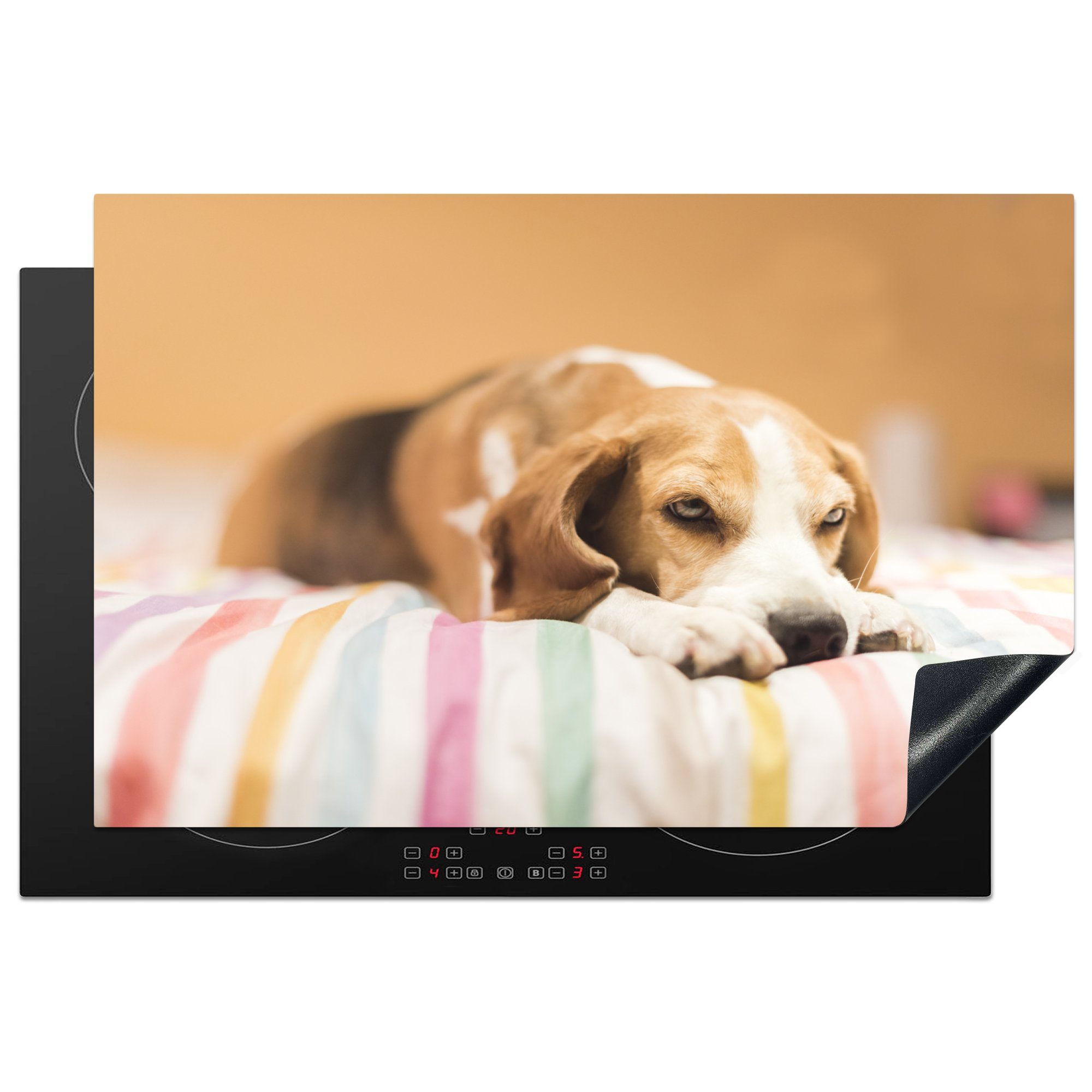 MuchoWow Herdblende-/Abdeckplatte Ein schlafender Beagle-Welpe, Vinyl, (1 tlg), 81x52 cm, Induktionskochfeld Schutz für die küche, Ceranfeldabdeckung