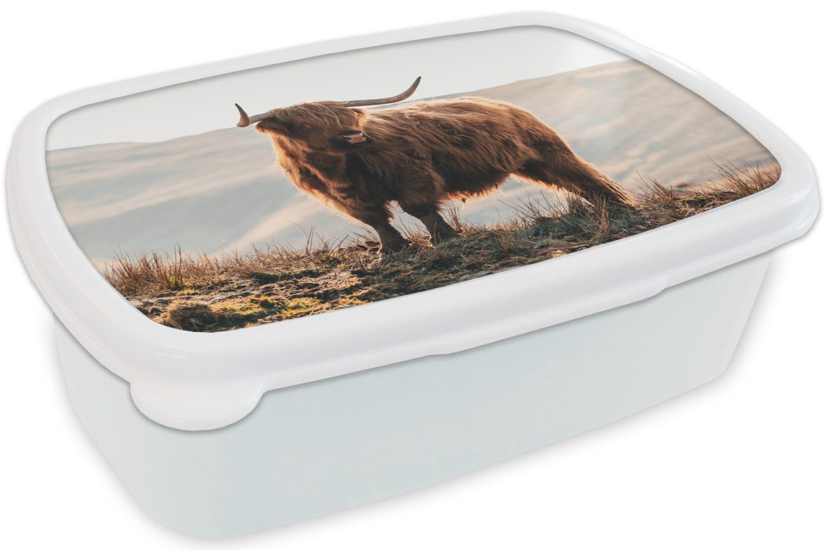 Schottische Highlander Brotdose, Jungs und und Kinder Kunststoff, Kuh Mädchen Erwachsene, - (2-tlg), Brotbox Landschaft - Tiere - für für MuchoWow Lunchbox - Ländlich weiß - Natur,