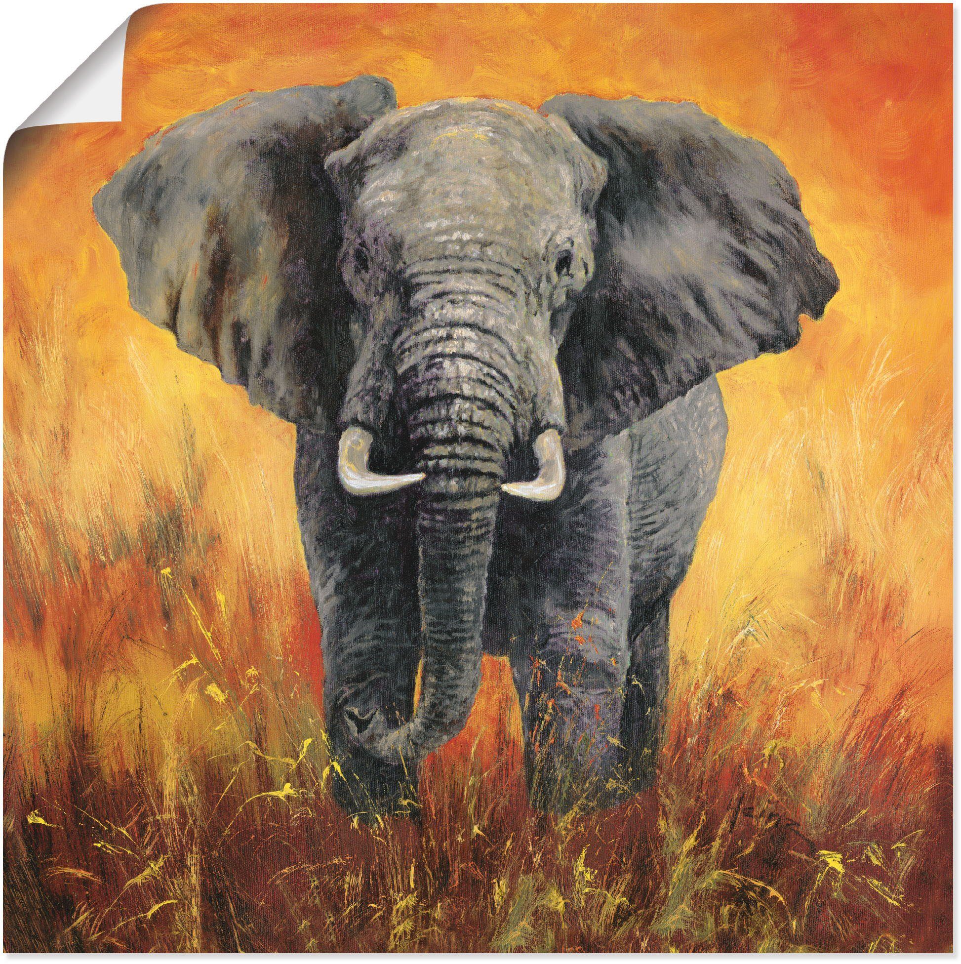 St), Alubild, Elefant, Poster Artland versch. (1 Leinwandbild, Porträt oder in als Bilder Wandbild Größen Wandaufkleber Elefanten