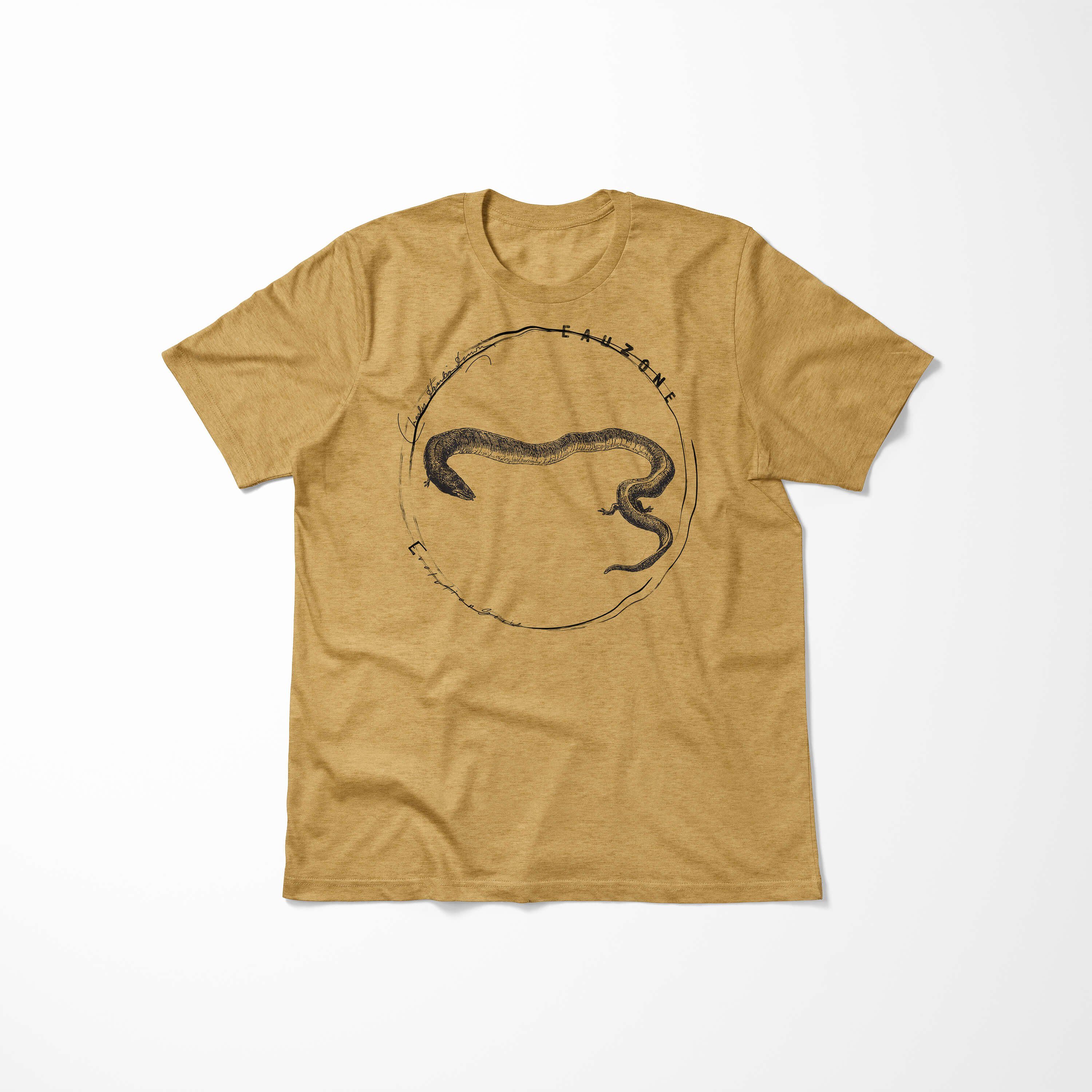 T-Shirt T-Shirt Herren Antique Gold Art Amphia Evolution Sinus