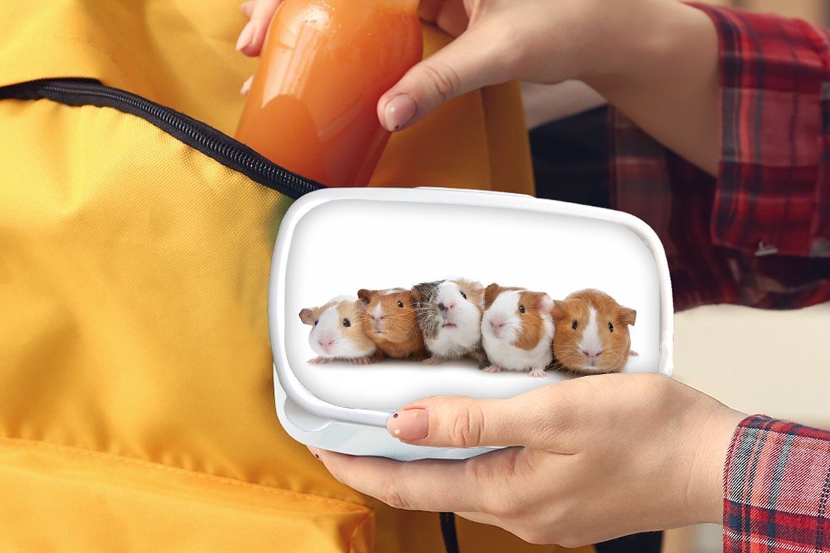 einer Kinder für Reihe, Fünf Lunchbox Erwachsene, Meerschweinchen Jungs Brotdose, MuchoWow und Kunststoff, Brotbox in weiß für und Mädchen (2-tlg),