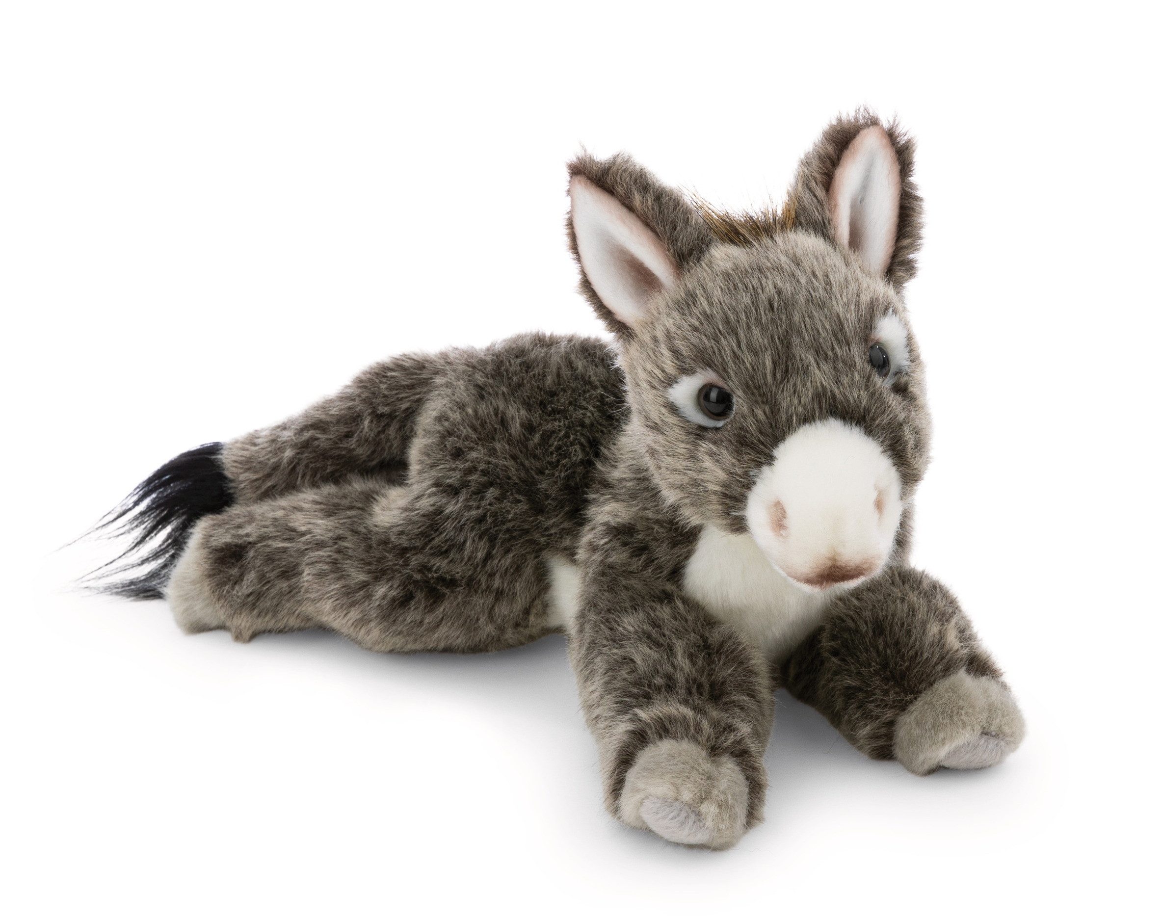 Nici Kuscheltier 62604 - Esel, 20 cm (1-St)