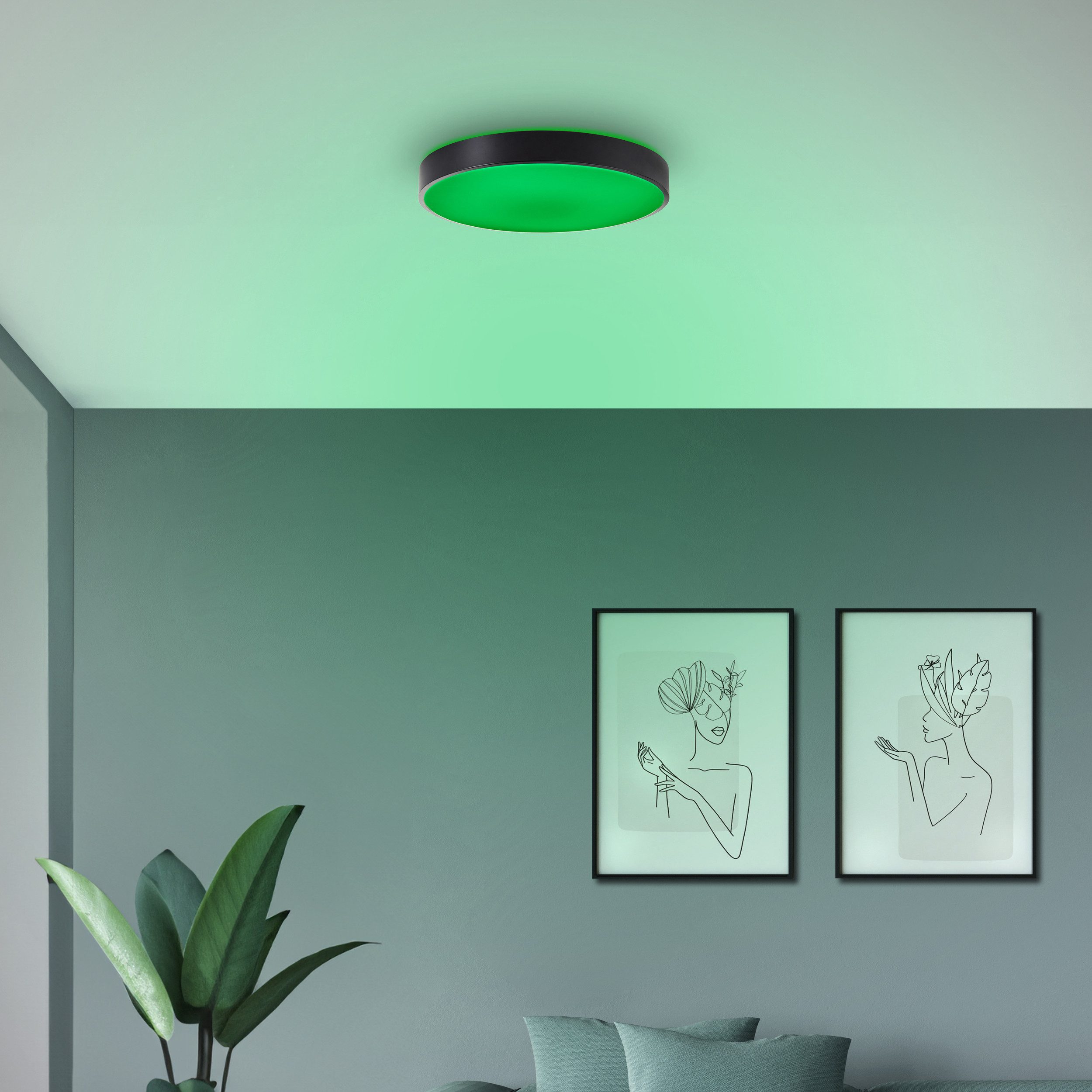 Brilliant LED Deckenleuchte Vadin, CCT - über Fernbedienung, Dimmfunktion, Farbwechsel, Nachtlichtfunktion, RGB, Timerfunktion, LED fest integriert, warmweiß - kaltweiß, Smart Home Leuchte, Ø 49 cm, 3000-6500 K, 3500 lm, RGB, dimmbar