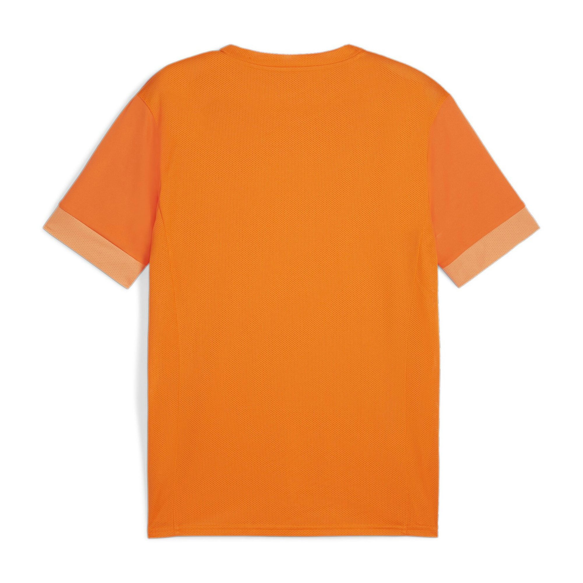 PUMA Fußballtrikot Puma Herren Trikot teamGOAL Matchday Jersey 705747