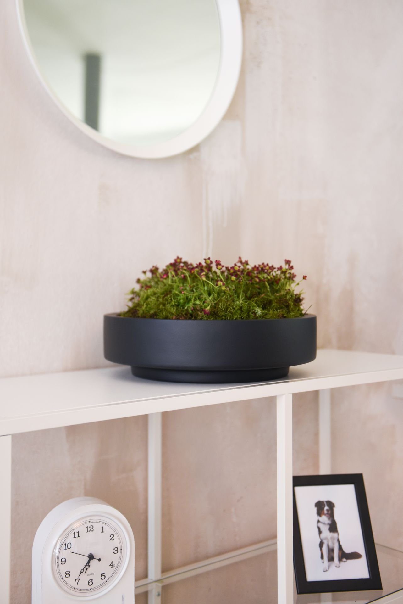 VIVANNO Pflanzschale Fiberglas ESCADA LOW Schale günstig online kaufen
