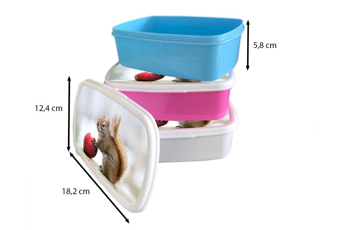 Brotdose Kunststoff Snackbox, Erwachsene, Mädchen, Kinder, einen isst Brotbox rosa für (2-tlg), Kunststoff, Apfel, Eichhörnchen Lunchbox MuchoWow