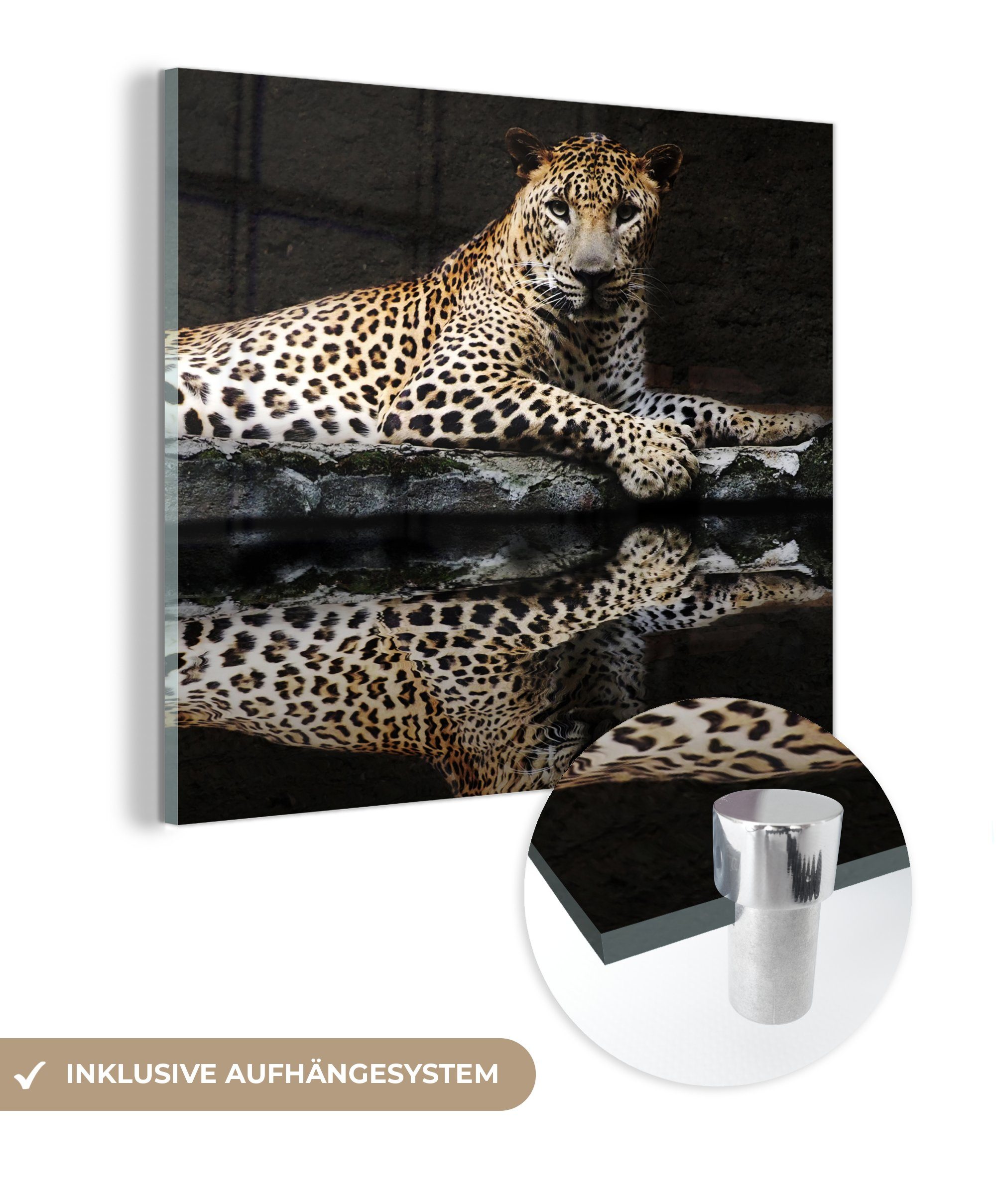 MuchoWow Acrylglasbild Leopard - Wasser - Wald, (1 St), Glasbilder - Bilder auf Glas Wandbild - Foto auf Glas - Wanddekoration