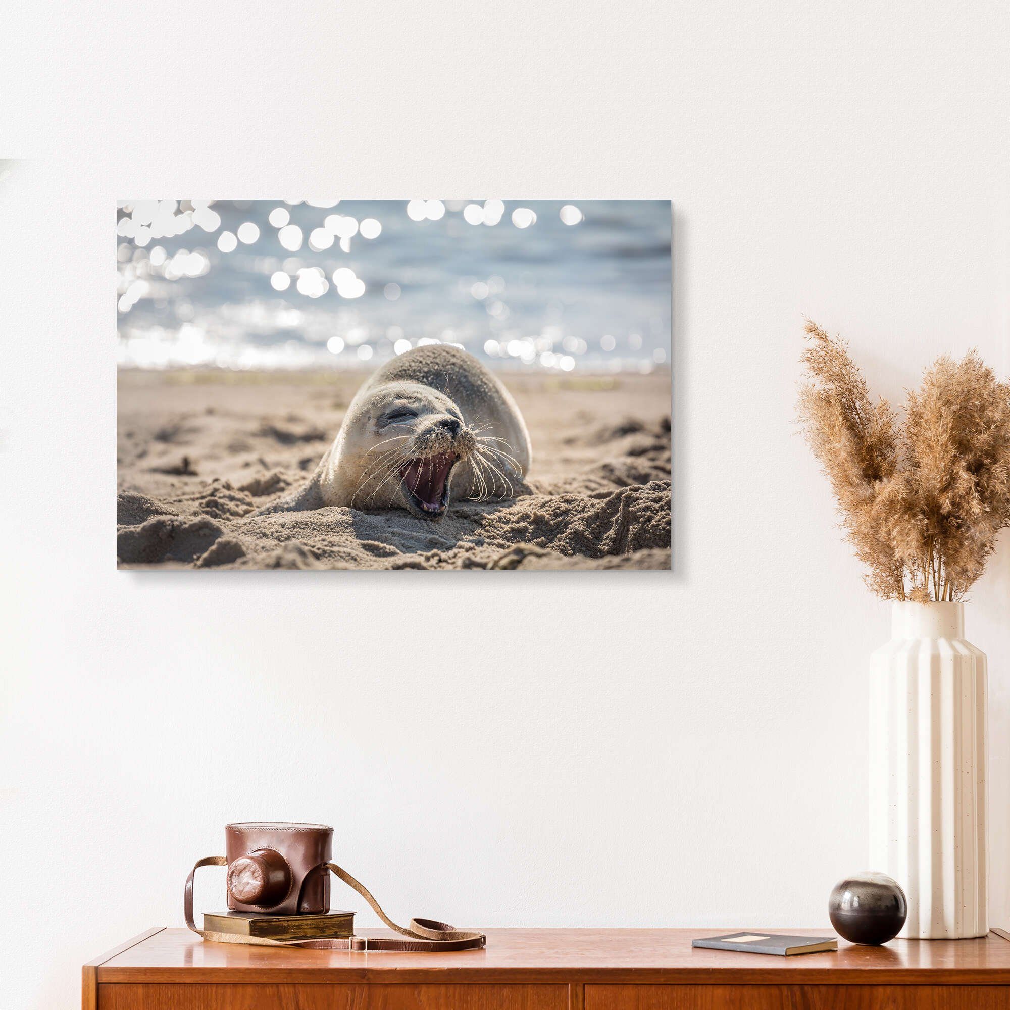 Posterlounge Wandbild Junge Robbe am Strand auf Sylt, Christian Müringer, erhältlich als Poster, Leinwandbild, Wandsticker oder Acrylglasbild – Bild 4 von 5