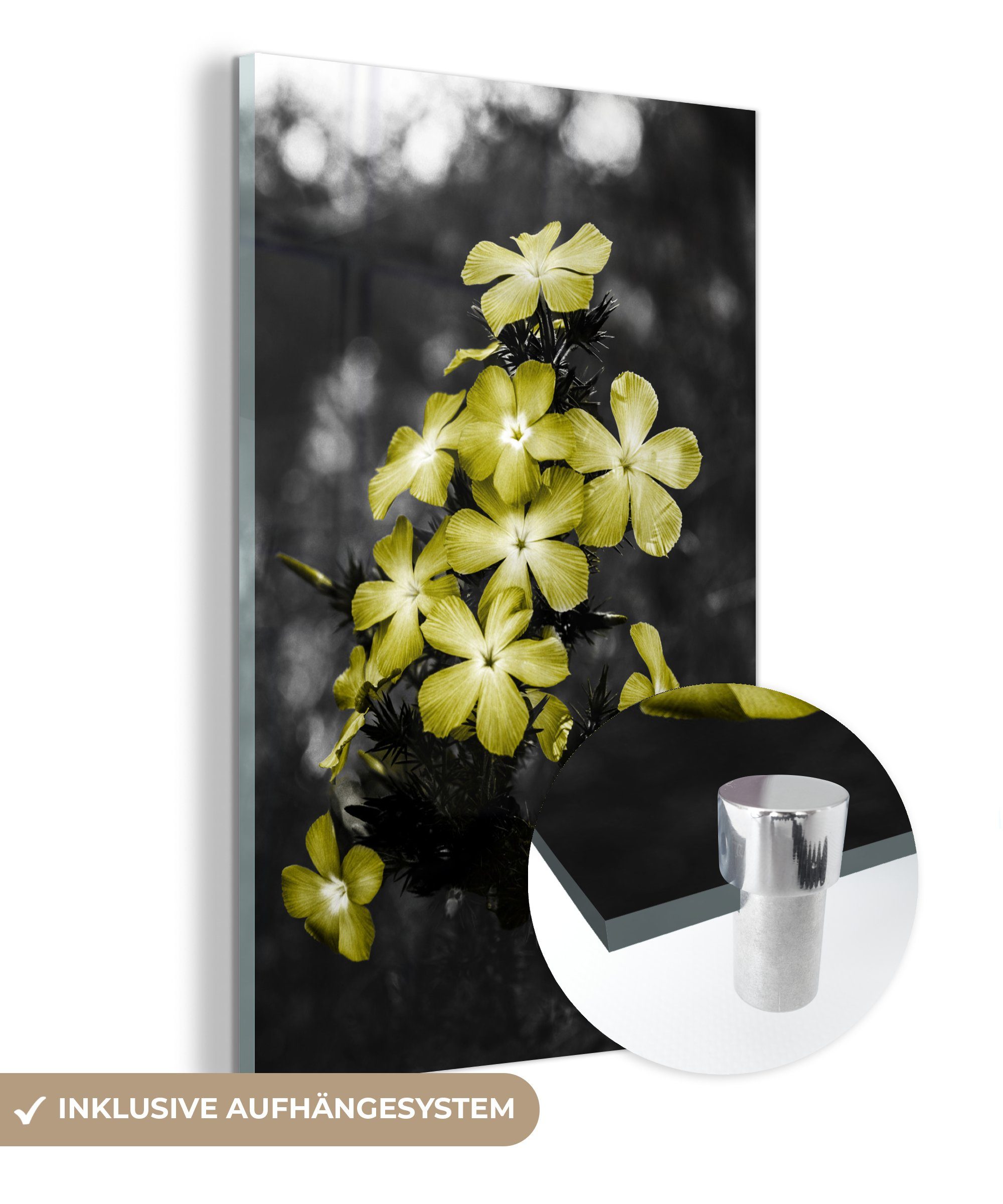 - Glas Farben, Glas MuchoWow Wandbild auf (1 - auf St), Wanddekoration Acrylglasbild - Gelb - Foto - Bilder Glasbilder Blumen