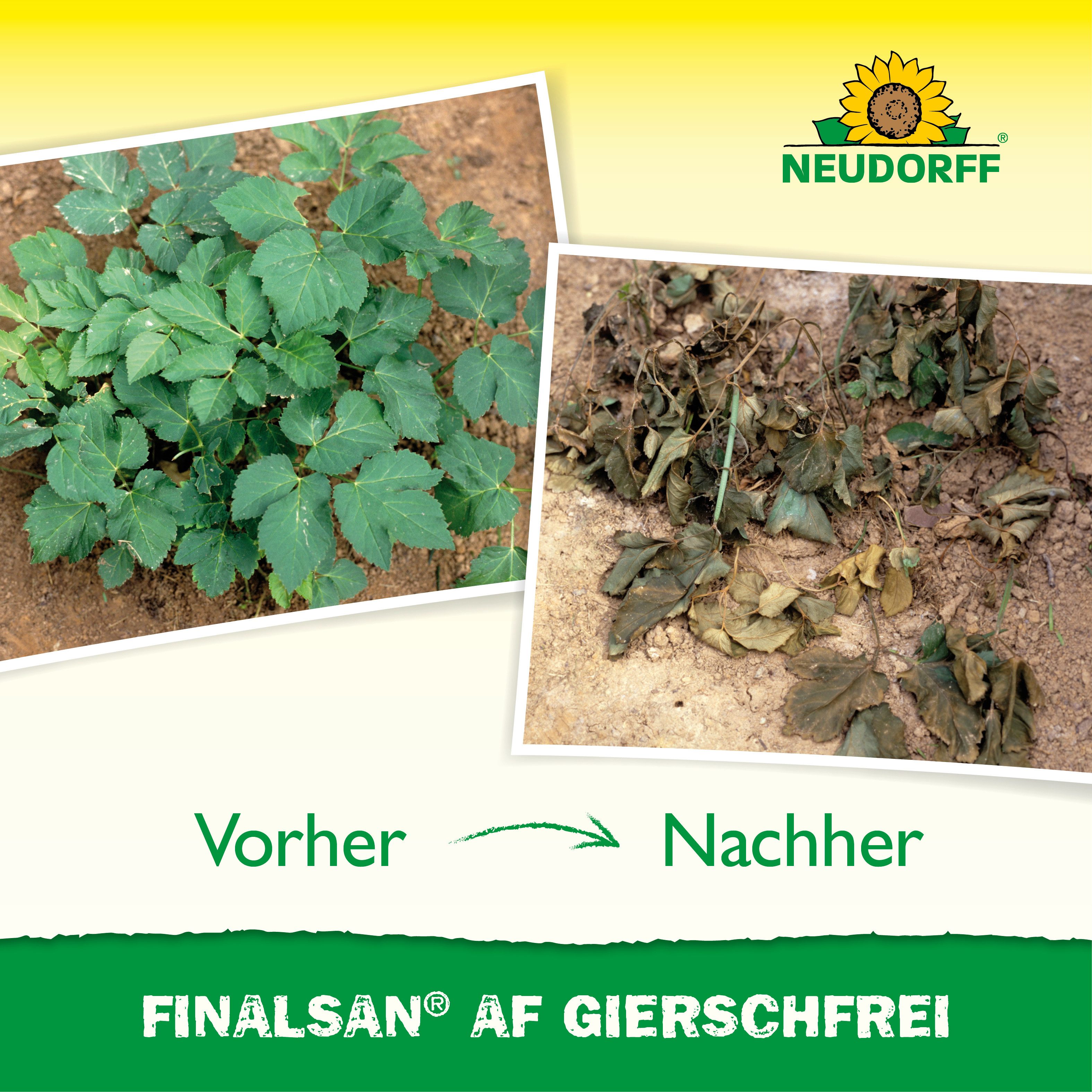 Neudorff Unkrautbekämpfungsmittel Finalsan AF GierschFrei für 25 m², 750 ml, 1 St., Gegen Giersch, Ackerschachtelhalm & weitere Problemunkräuter, Anwendungsfertiges Kontaktherbizid mit 2-fach-Wirksystem, 2-fach-Wirksystem gegen Giersch & Ackerschachtelhalm