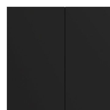 ebuy24 Kleiderschrank Petra Kleiderschrank mit 3 Türen, mattschwarz.