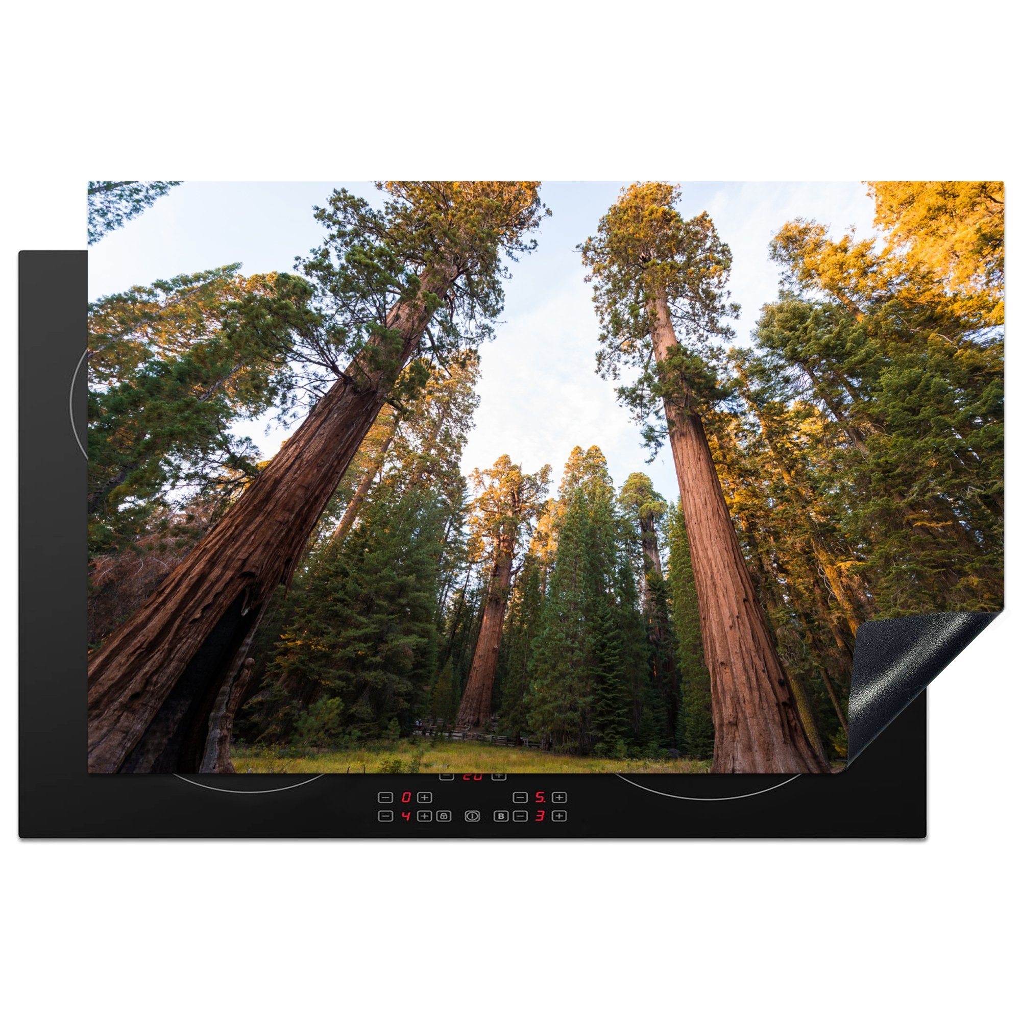 MuchoWow Herdblende-/Abdeckplatte Riesenmammutbäume im Sequoia National Park in den Vereinigten Staaten, Vinyl, (1 tlg), 81x52 cm, Induktionskochfeld Schutz für die küche, Ceranfeldabdeckung