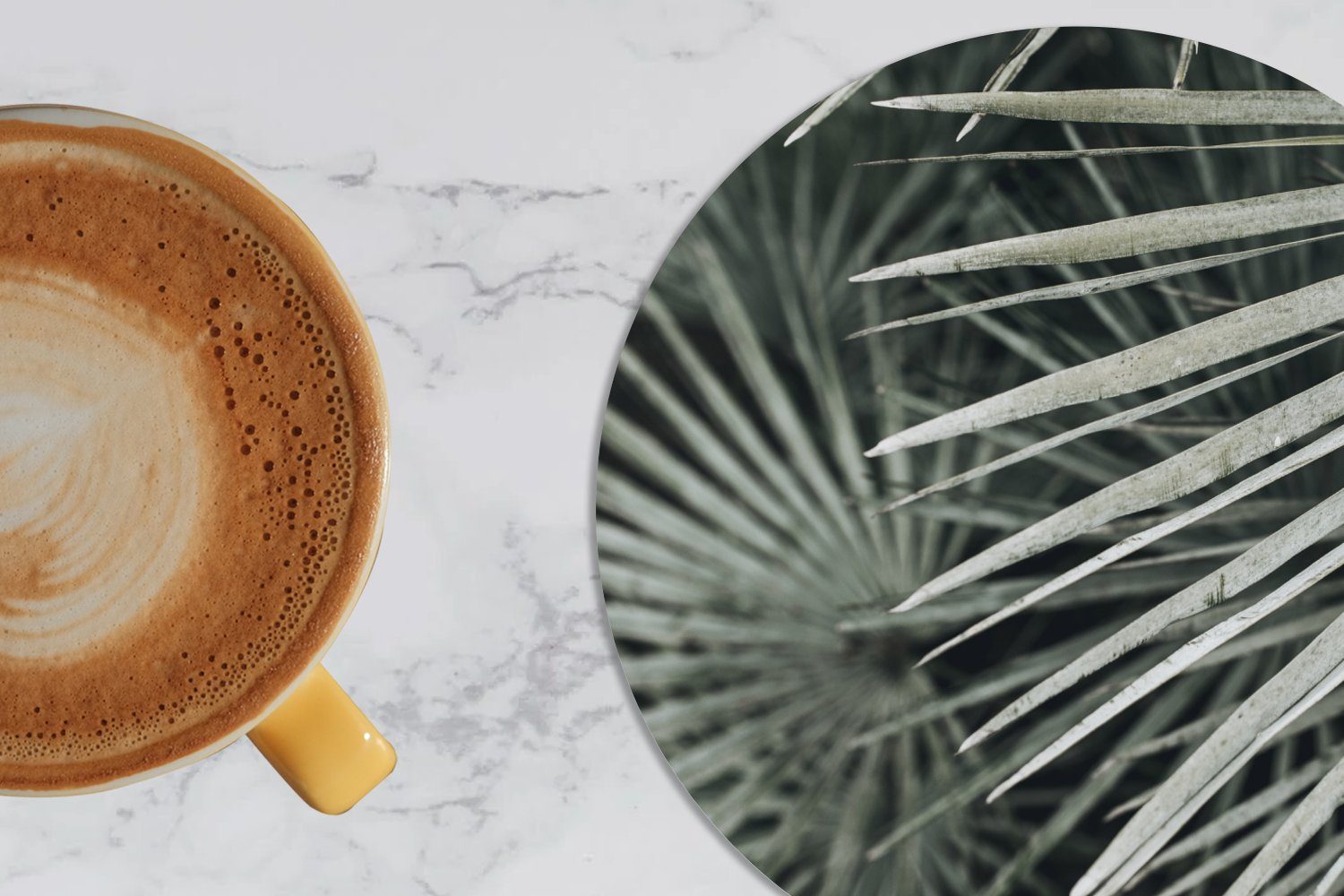 Getränkeuntersetzer, - Becher Grün für Tassenuntersetzer, - Korkuntersetzer, MuchoWow Blätter Zubehör Tasse, Gläser, Palme, 6-tlg., Glasuntersetzer