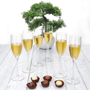 MamboCat Sektglas 6x Grande Royal Sektgläser 120ml Champagner-Glas klare Sektflöte, Glas