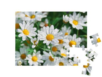 puzzleYOU Puzzle Wunderschöne Frühlingsblumen, 48 Puzzleteile, puzzleYOU-Kollektionen Flora, Blumen, Pflanzen, Blumen & Pflanzen